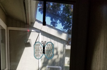 Butterfly Suncatcher Using Unique Lids - hanging outside