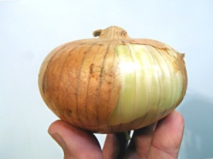 A Vidalia onion bulb with the skin on.