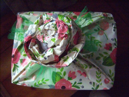 Flower Gift Wrapping - or other petaled flower