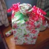 Flower Gift Wrapping - finished gift