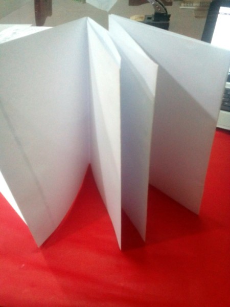Starter Reading Notebook - accordion fold