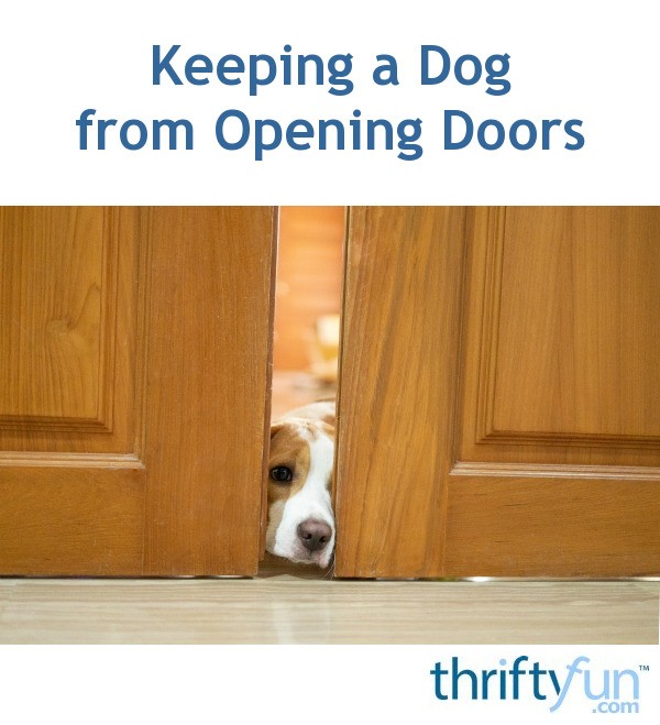 Keeping a Dog from Opening Doors? | ThriftyFun