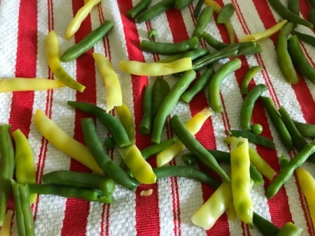 Freezing Green Beans Using the Instant Pot