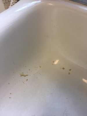 Removing Tiger Glue Spill from Sink - glue spots in white sink