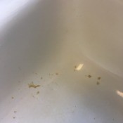 Removing Tiger Glue Spill from Sink - glue spots in white sink