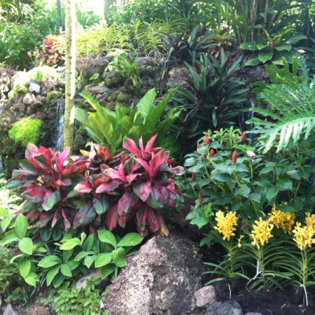 Orchids and other flowers grown in an indoor terrarium in Singapore.