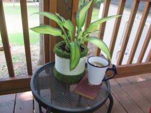 Using A Coffee Container As An Indoor or Outdoor Planter - decorated container on patio table