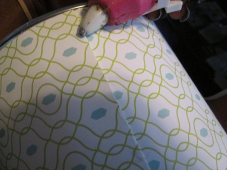 Using A Coffee Container As An Indoor or Outdoor Planter