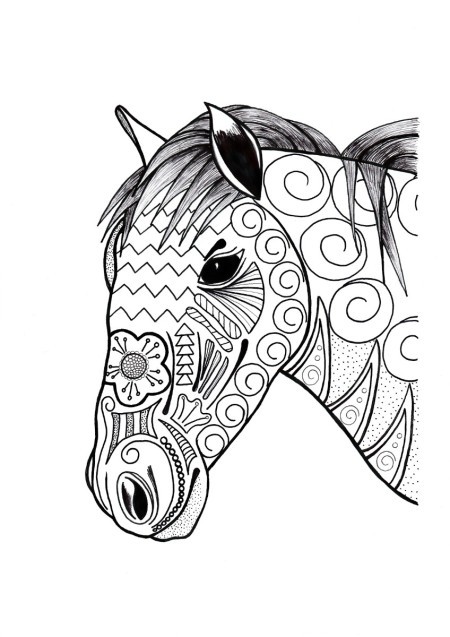 Ornamental Horse Adult Coloring Page - horse's head and neck