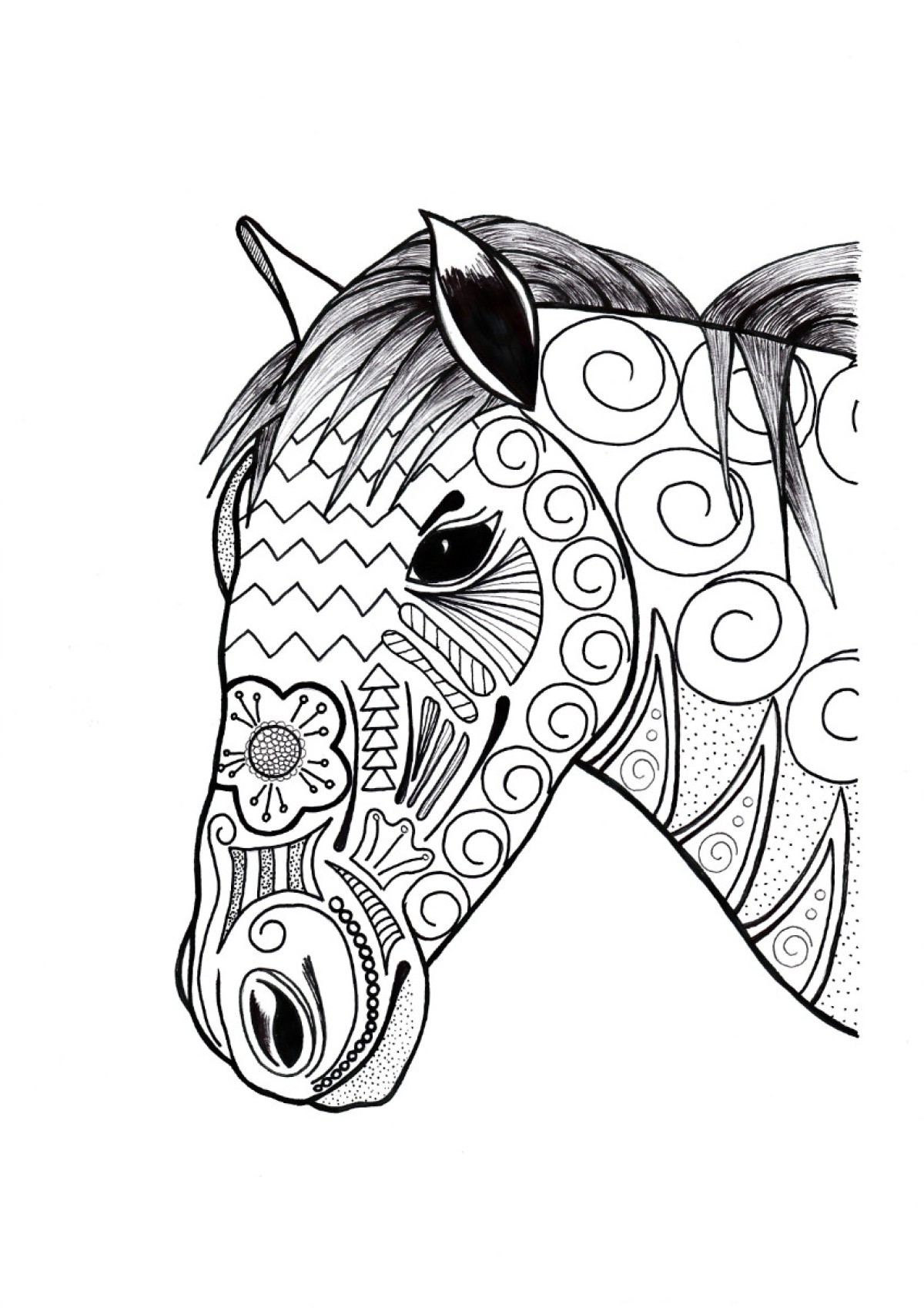 Ornamental Horse Adult Coloring Page   ThriftyFun