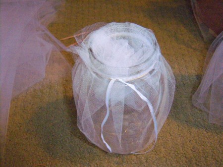 Natural Centerpiece for Wedding or Parties  - tie a ribbon around the neck