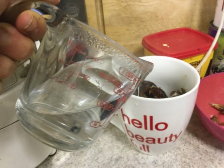 adding hot water to dates in cup