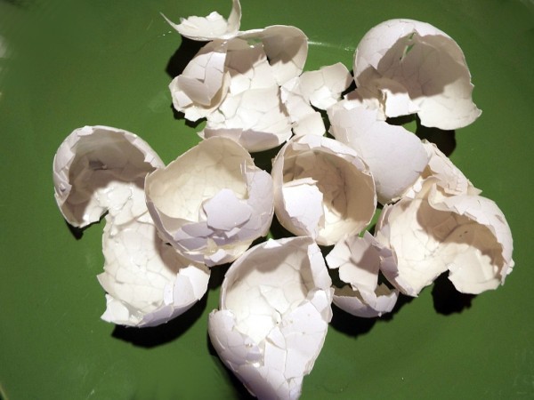 A pile of hard boiled eggshells removed from the egg.