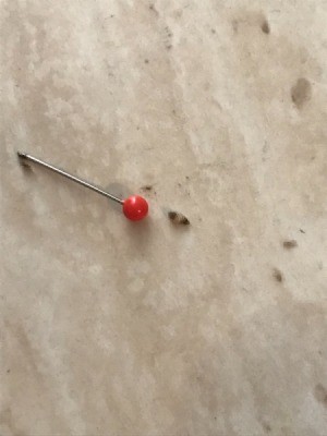 Identifying a Household Bug - tiny two color bugs found under laminate flooring