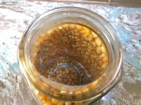 Popcorn Kernel Jar Secret Safe - keep filling until it looks completely full