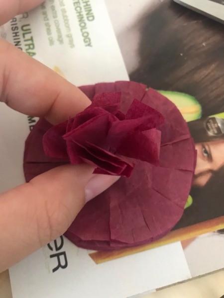 Tissue Paper Flower Bow - crunching