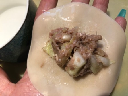 filling in Gyoza