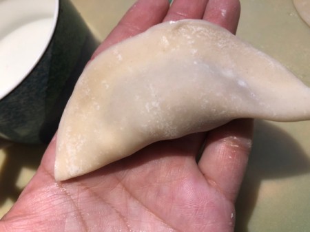 closed potstickers