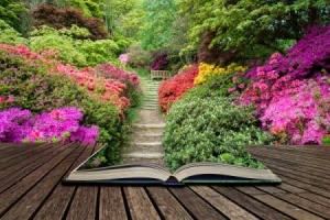 Beautiful vibrant landscape image of footpath border by Azalea flowers coming out of pages in open book.