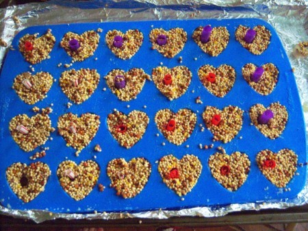Bird Seed Heart Wedding Favors - tray with straws inserted in the molded seeds