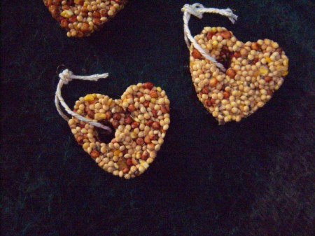 Bird Seed Heart Wedding Favors - little strings tied through the holes