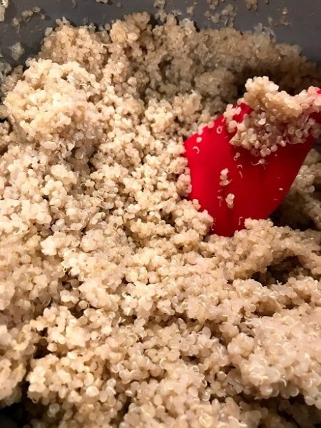 cooked Quinoa