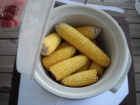 6 ears of cooked corn in a crockpot.