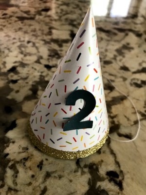 A store bought party hat with a number two added to it.