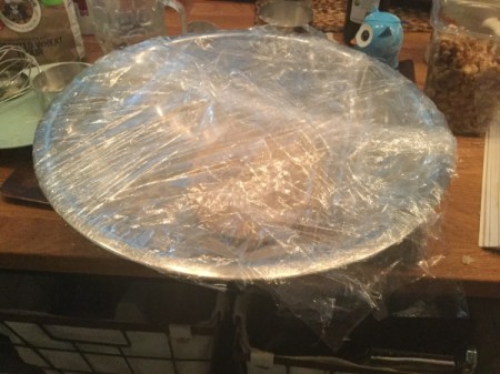 Walnut Potato Bread rising in bowl