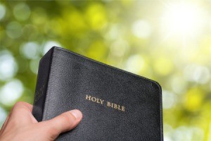 Hand holding a bible outdoors.