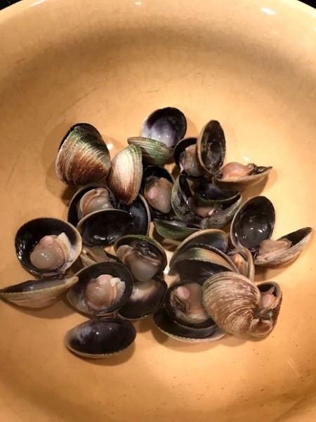 cooked & open Cockles