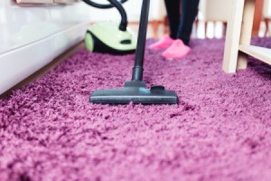 Vacuuming a purple rug.