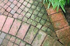 Removing Weeds Between Pavers Thriftyfun