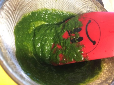 DIY Organic Food Colouring - pushing spinach through a fine mesh sieve