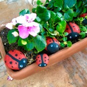 Stone Ladybug Garden Ornaments - ladybug rocks in a planter