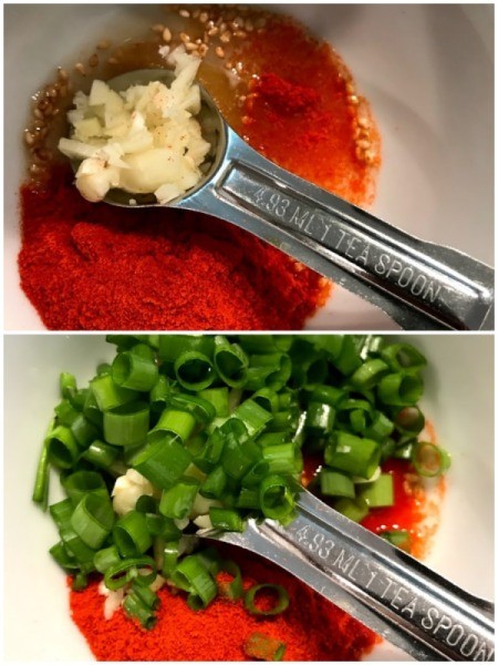 adding garlic to spices & green onions