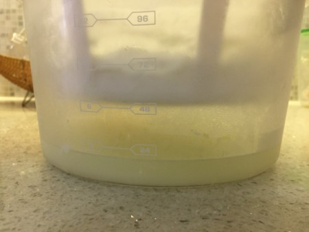 The whey collected in the bottom of a yogurt maker.