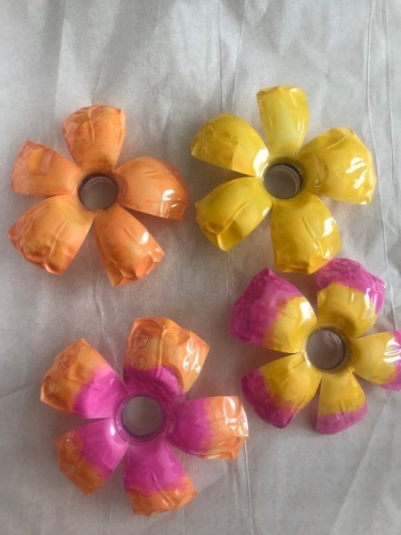 Photo Clip Banner - four painted flowers, closeup