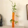 Medicine Bottle Bamboo Vase - vase with a bamboo stalk and several stalks taped to the back