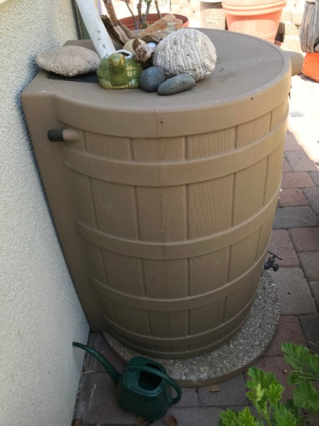 A rain barrel for collecting water from the gutters.