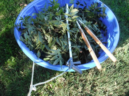 Use a Baby Pool to Cleanup Yard Debris