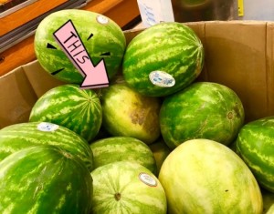 A box of watermelon for sale with an arrow marking the one that was chosen.