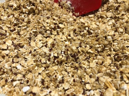 mixed quinoa and oats