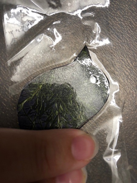 Upcycle Giftcard to Keychain with a Fob