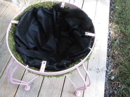 I Love Chairs As Planters In My Garden - planter with chain removed zip tied to chair frame