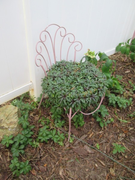 I Love Chairs As Planters In My Garden - planted round seated chair