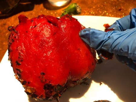 peeling skin from pepper