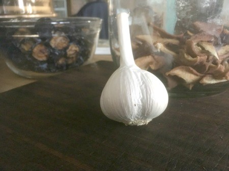 Planting Garlic - garlic clove