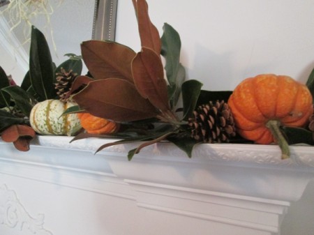 Using Natures Own For Decorations, While Going Green
