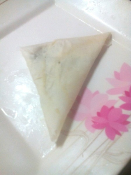 folding wrap around Mung Bean Triangle